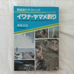 イワナ ヤマメ釣り 実践釣りテクニック