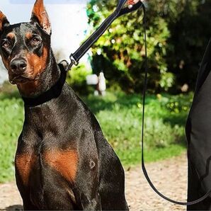 犬 リード トレーニング 訓練 夜 大型犬 中型犬 150cm 黒　ブラック　