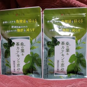 和漢の森 桑の葉&茶カテキンの恵み 2袋