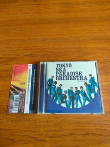 初回限定盤 帯付き 東京スカパラダイスオーケストラ パラダイス・ブルー Tokyo Ska Paradise Orchestra PARADISE BLUE