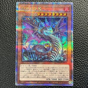 【プレイ用】遊戯王　スネークアイズ・フランベルジュ・ドラゴン　蛇眼の炎龍　25thシークレット　AGOV-JP010　値下げ不可