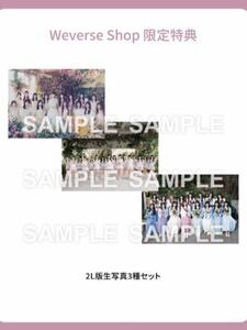 AKB48 『カラコンウインク』Weverse限定特典 2L判生写真3種セット