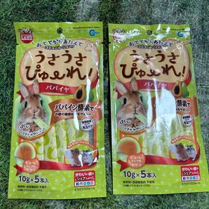 うさうさぴゅーれ　パパイヤ　ぴゅーれ　介護　換毛期　鬱滞　牧草　チモシー　うさぎ　チンチラ モルモット ハムスター