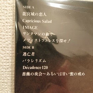 【新品未開封】コシミハル 美への耽溺 パラレリズム アナログ盤 LP レコード 細野晴臣 金子國義 久留幸子 検)越美晴 record store day 2024の画像3