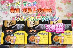 シーバ デュオ 厳選 お魚とお肉味 グルメセレクション (20g×10袋) × 3箱セット