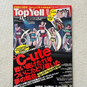 雑誌 Top Yell（トップエール） 2013年11月号 ポスター付き