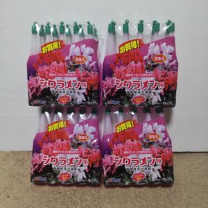 ヨーキ産業 シクラメン活力剤 35ml×10P 4個セット