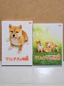 マリと子犬の物語 スペシャル・エディション # 船越英一郎 / 松本明子 / 広田亮平 / 佐々木麻緒 セル版 中古 DVD 2枚組 説明文参照