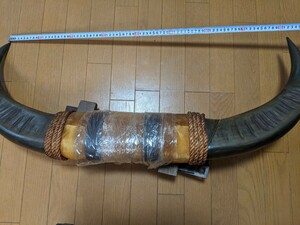 IY0657 水牛の角 幅約82㎝×高さ約40cm 奥行き約10cm台座付き 置物/飾り/骨董品/インテリア/風水 現状品