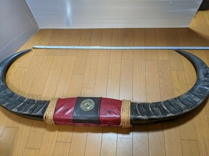 IY0722 水牛の角 幅約97㎝×高さ約55cm 奥行き約8cm 台座なし 置物/飾り/骨董品/インテリア/風水 現状品