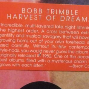 米 ドリーミー・アシッド・サイケ・フォーク[Bobb Trimble/Harvest Of Dreams]メガ・レア盤のリイシューの画像4