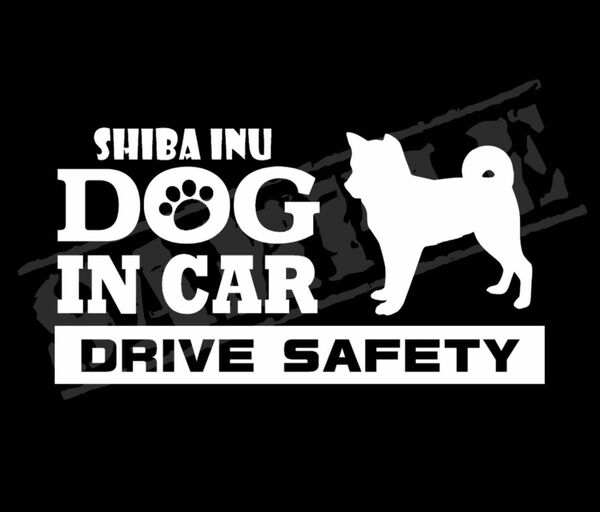 犬種名・DOG IN CAR・DRIVE SAFETY　柴犬①　SHIBAINU