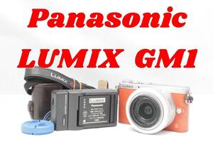スマホ転送！wifi！Panasonic LUMIX DMC-GM1 パナソニック　ルミックス　ミラーレスカメラ
