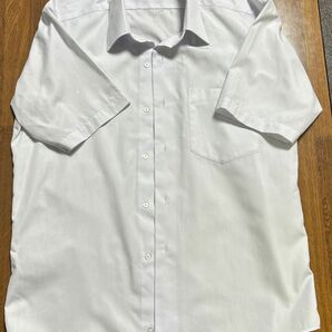 ④ スクールタイガー スクールシャツ 150A 半袖シャツ 制服 学生服 ワイシャツ カッターシャツ 男子 