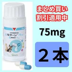 【２本セット割引】ジルケーン75mg　×２