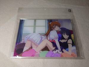 【送料込】新品・未開封：WHITE ALBUM2 アクリルアートボード(A5サイズ) 01／A(公式イラスト)・ホワイトアルバム2