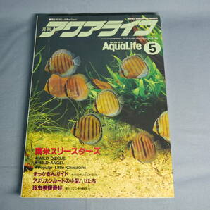 中古 雑誌 アクアライフ ５ 平成7年5月1日発行 No.190 の画像1