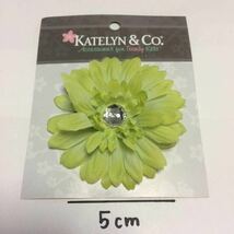 新品☆Katelyn&Coフラワーヘアピンヘアクリップライム　ヘアピンヘアゴムキッズアクセサリー_画像1