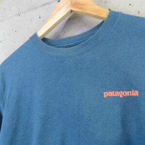 8130b4◆良品です◆Patagonia パタゴニア 袖ロゴ 長袖Tシャツ XS/カットソー/アウトドア/ジャケット/マウンテンパーカー/シェル/ストームの画像3