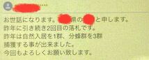 分かりやすいカラー説明書付き！毎年大好評！高評価頂いてます！　日本蜜蜂誘引液500mlミツバチ 待ち箱 分蜂 養蜂　誘引剤 キンリョウヘン_画像10