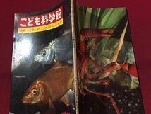 ｓ◆　昭和40年 9版　こども科学館　第12号　特集・かわやいけのいきもの　国際情報社　昭和レトロ　当時物　/ LS18_画像2