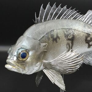 メバル(青)フィギュア　魚模型　ハンドメイド　レプリカ　オリジナルフィギュア