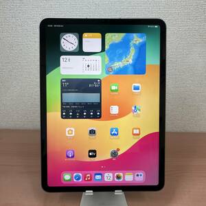 【新品同様品】iPad Pro 11インチ 第4世代 M2チップ搭載 256GB Wi-Fi+Cellular　バッテリー100% MNYE3J/A 極美品　即決あり！