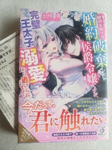 キスは絶対お断り!! 婚約破棄したい侯爵令嬢ですが、完璧王太子の溺愛から逃げられません(火崎勇 / なおやみか)