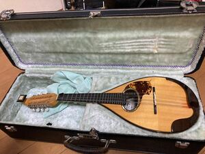 [ key breaking equipped ] mandolin hard case attaching musical instruments middle . name equipped 