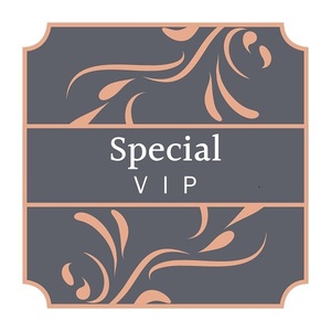 中央競馬情報　　Special VIP コース　