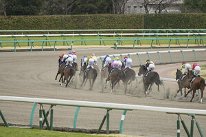 ＪＲＡ中央競馬予想 「究極の1鞍勝負」大阪杯Ｇ１