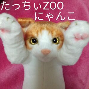 ★最終価格　値下げ　猫　ぬいぐるみ　 猫　たっちぃZOO ねこちゃん　猫ぬいぐるみ　たっちいzooにゃんこ　こどもの日