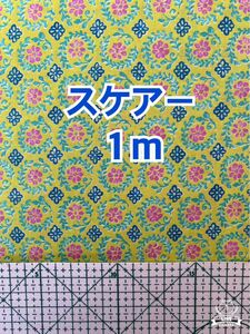 (キ52) 黄緑地にピンクや青のプロヴァンス風リピート柄（生地幅108cm×長さ１m)