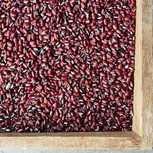 自然栽培 酵素玄米用 小粒小豆 500g 農薬不使用( 蟹の目 ガンノメ小豆) 