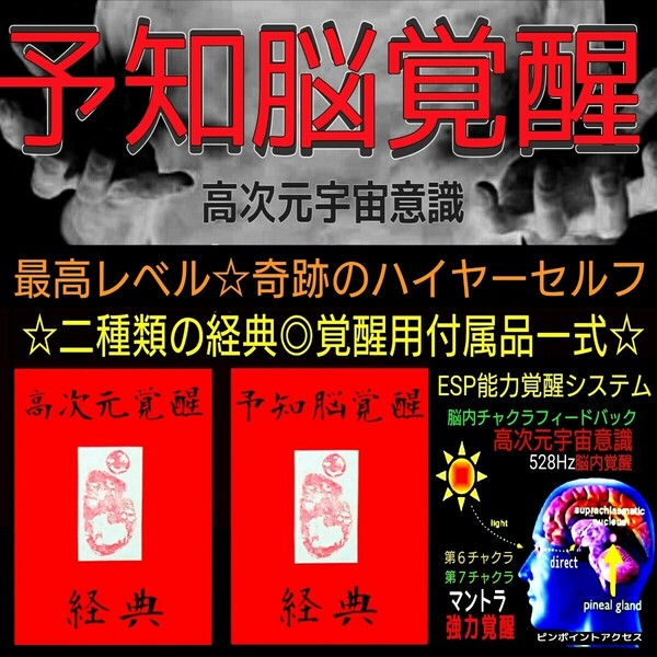 ☆★奇跡のハイヤーセルフ★前世記憶の再生と高次元宇宙意識への接続☆脳裏に現れる現実世界！研ぎ澄まされるシックスセンスと超現実化★☆