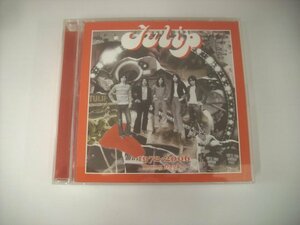 ■ 2CD チューリップ TULIP / おいしい曲すべて 1972-2006 Young Days～ ビクターエンタテインメント株式会社 VICL 62079～80 ◇r60312