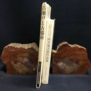 ブックエンド 木化石 珪化木 2個 木の化石 本棚の画像6