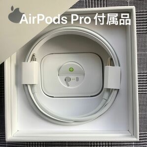 Apple AirPods Pro 付属品　イヤーピース　イヤーチップ　タイプC ライトニングケーブル