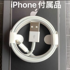 『訳あり品』Apple iPhone 充電器　 USB ライトニングケーブル