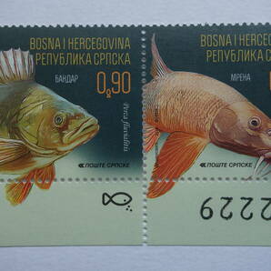 外国切手：ボスニア・ヘルツェゴビナ（セルビア人地区）切手 「魚」 （ヨーロピアンパーチ ほか） 4種連刷 未使用の画像2