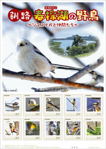  unopened new goods / Hokkaido Kushiro city city limitation / frame stamp [ Kushiro city spring . lake. wild bird ~simaenaga. company ..~] red gela/yamagala/ is ..../84 jpy commemorative stamp 