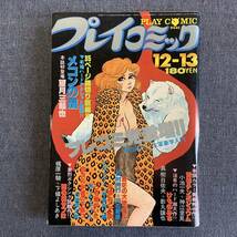 プレイコミック 1979/12/13 昭和54年 読切-メコンの鷹/望月三起也 四次元半襖の下張り/石森章太郎 梶原一騎 小池一夫 真樹日佐夫/影丸譲也_画像1