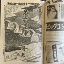 ビッグコミック 1981/2/25 昭和56年 読切炎の審判/寺安国遠 茶箱広重一ノ関圭 おんな教師/上村一夫/真樹日佐夫 夜行さん白土三平寄席芸人伝_画像5