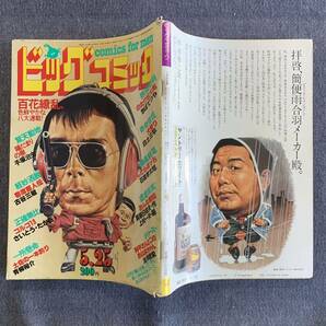 ビッグコミック 1981/5/25 昭和56年 陽だまりの樹/手塚治虫 おんな教師/上村一夫/真樹日佐夫 犬狩り/白土三平 土佐の一本釣り 寄席芸人伝の画像2