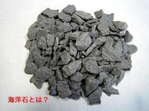 海洋石500g 6161円（ 消費税込み・送料別途）