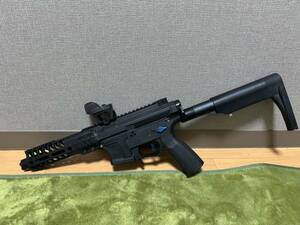 G&G ARP9 電動ガン DSGカスタム Titan エキスパート