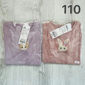 【新品】anyFAM 半袖 Tシャツ 110cm 2枚セット うさぎ ネコ