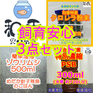 人気お得★飼育安心3点 ゾウリムシ500ml&粉末生クロレラ&PSB300mlセット 針子稚魚のエサ めだか金魚グッピーエサミジンコバクテリア生餌