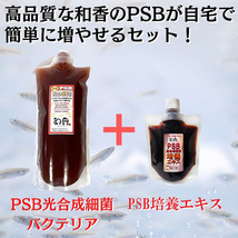 PSB光合成細菌20L培養セット バクテリア めだか らんちゅう 金魚 熱帯魚 グッピーに最適 ミジンコゾウリムシクロレラ培養_画像3