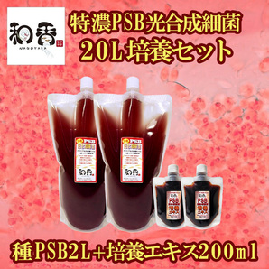 PSB光合成細菌20L培養セット バクテリア めだか らんちゅう 金魚 熱帯魚 グッピーに最適 ミジンコゾウリムシクロレラ培養の画像1